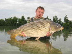 Carp19.jpg