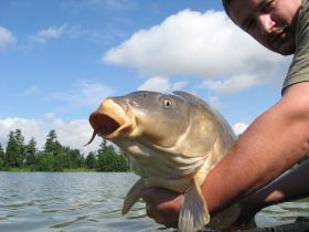 Carp9.jpg